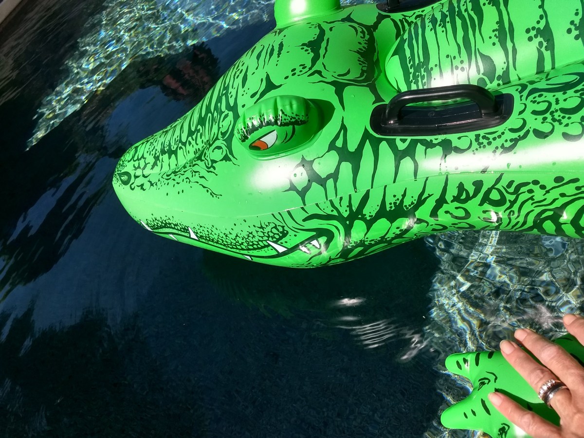 Holding Hands with Nanos the $5&nbsp;Alligator