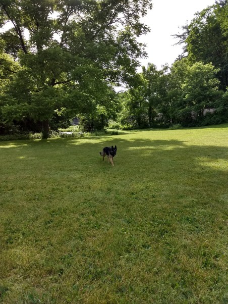 img_20180626_084836925_hdr