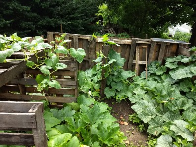 img_20180717_150239701