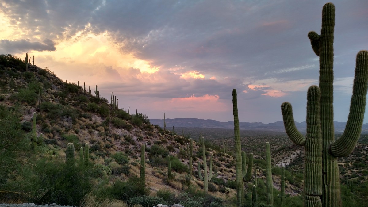 Memory & Hopes &&nbsp;Dreams