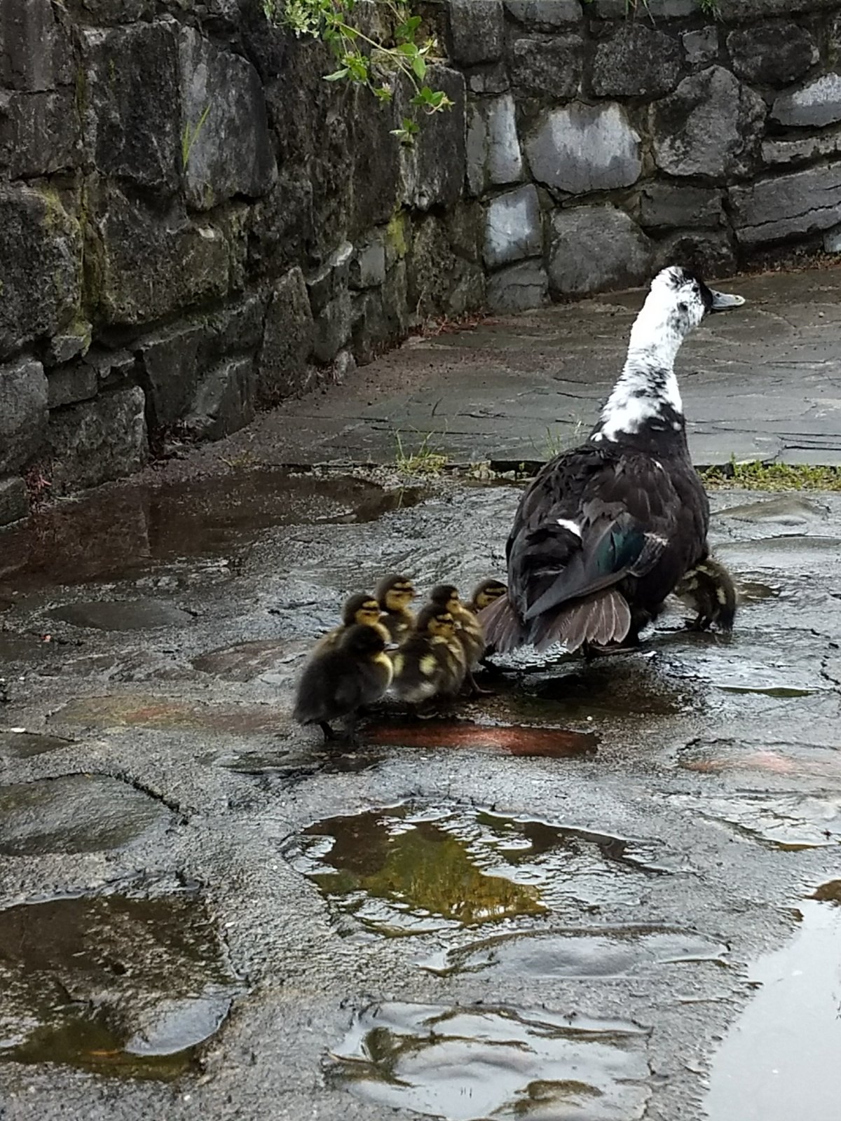 Can’t Help but&nbsp;Giggle!